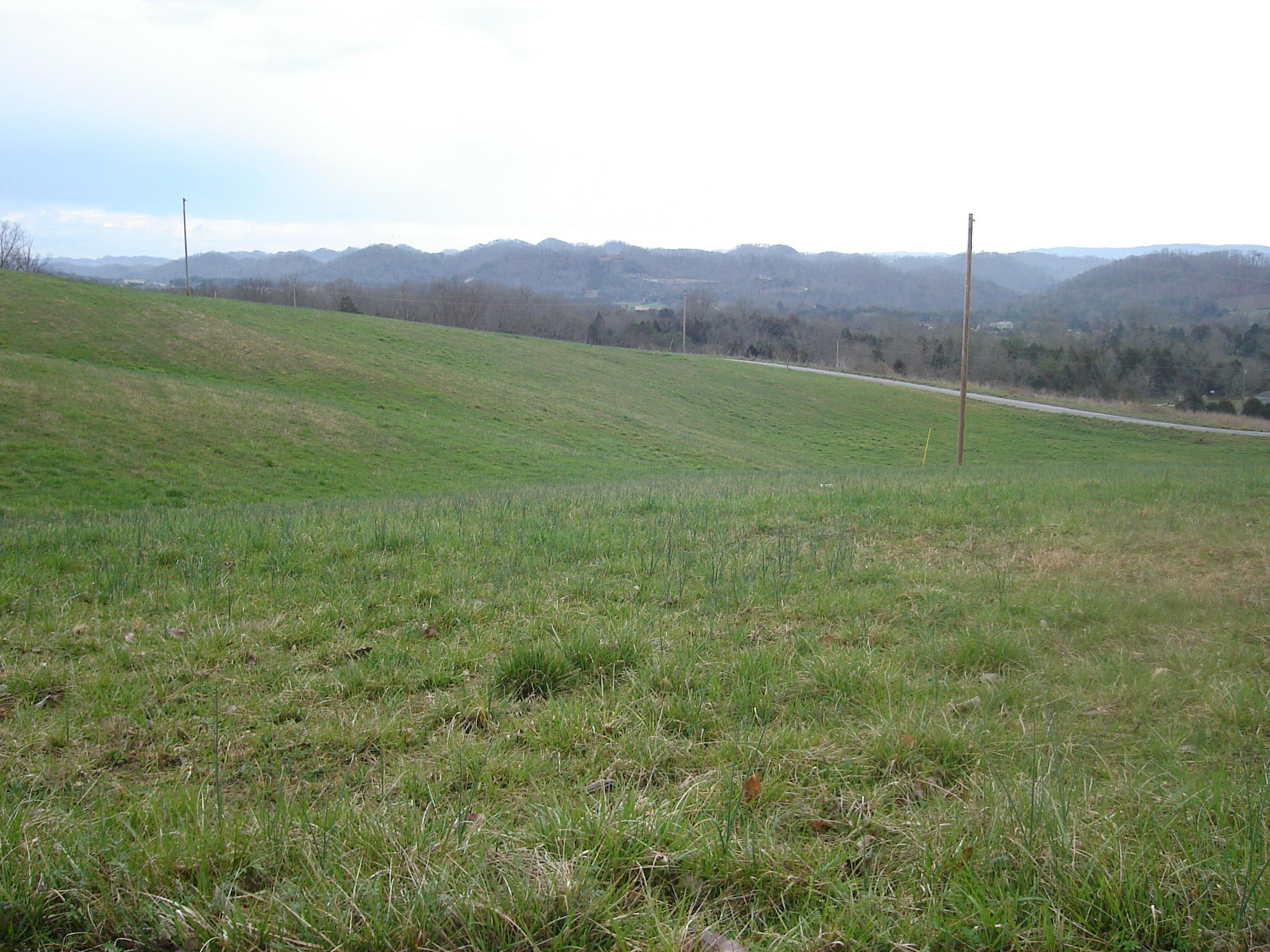 29 Perkey Road Tazewell, TN 37879 - Photo 1 of 2 DSC00608