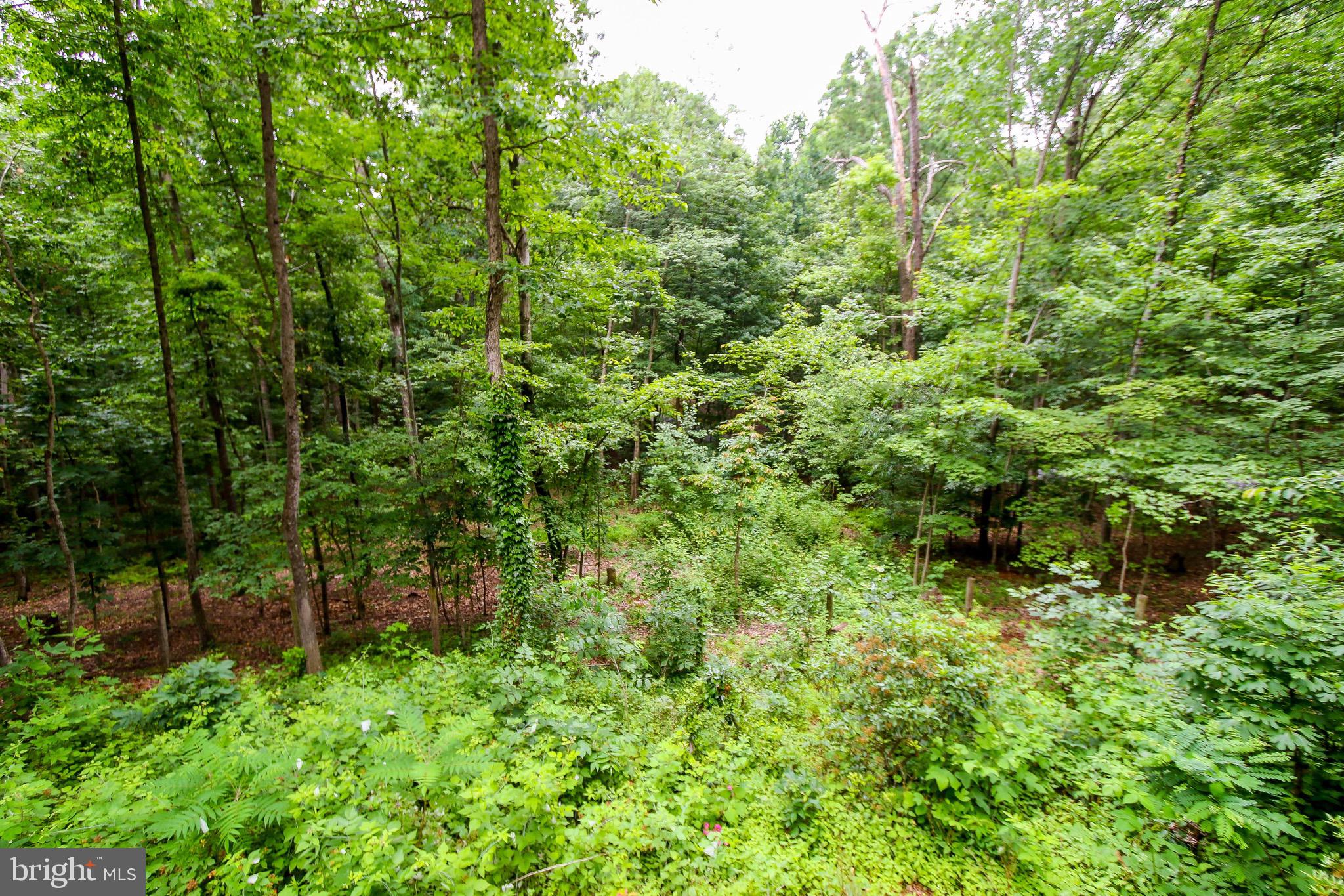 5107 Toyer Road Keedysville, MD 21756 - Photo 14 of 14 Gallery Image 14