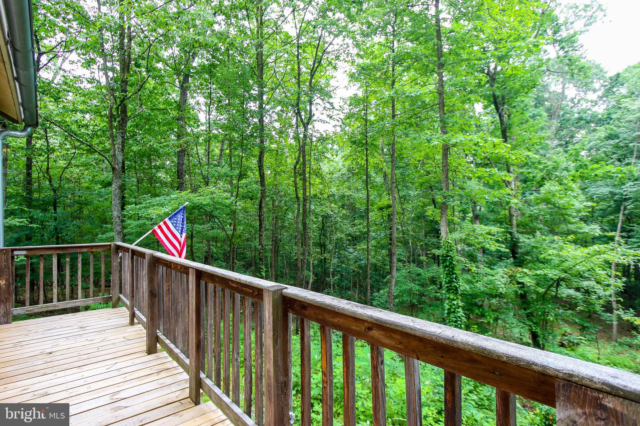 5107 Toyer Road Keedysville, MD 21756 - Photo 10 of 14 Deck