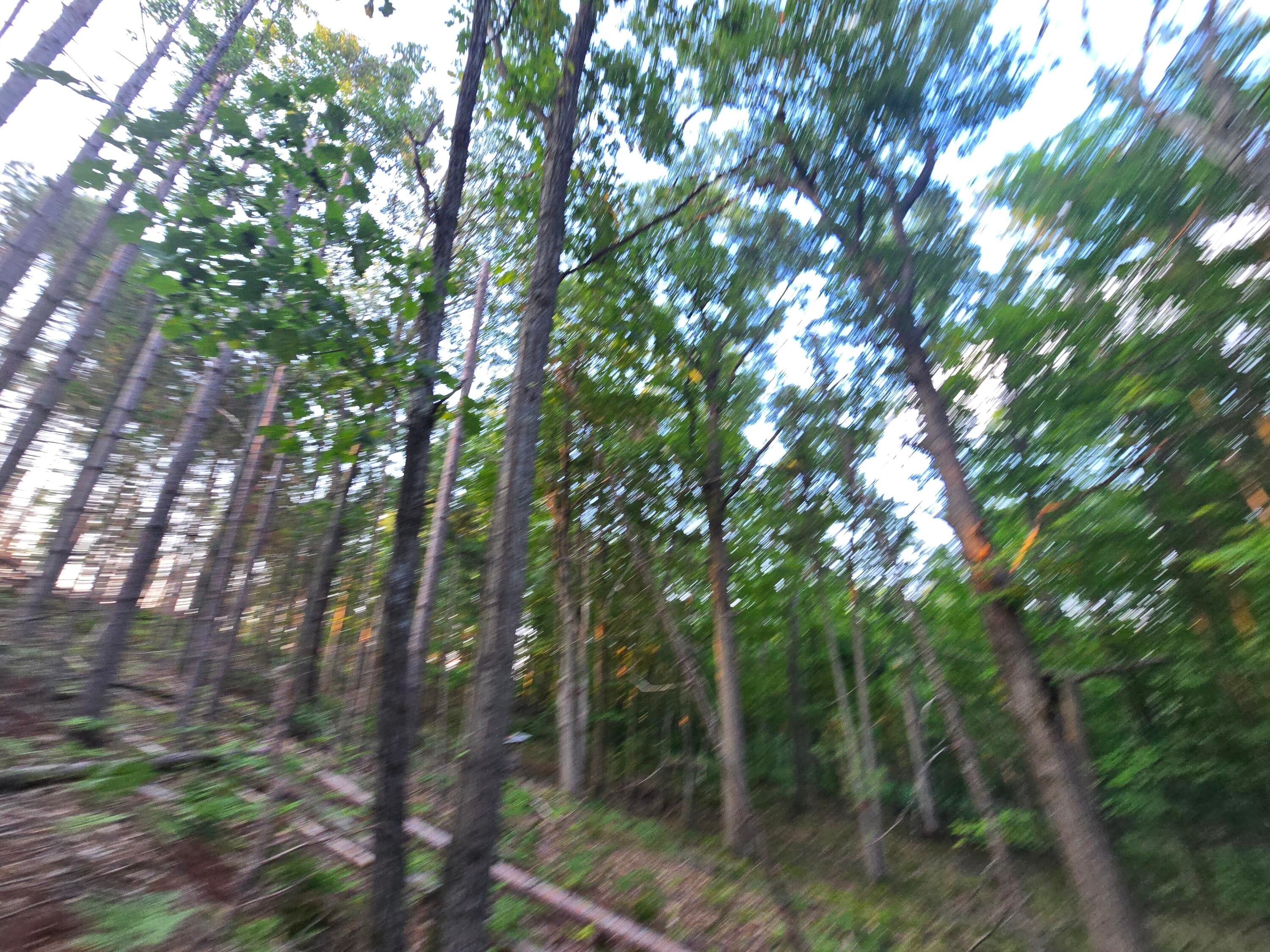234 Schmid Road Fairview, MI 48621 - Photo 8 of 62 20250813_195320