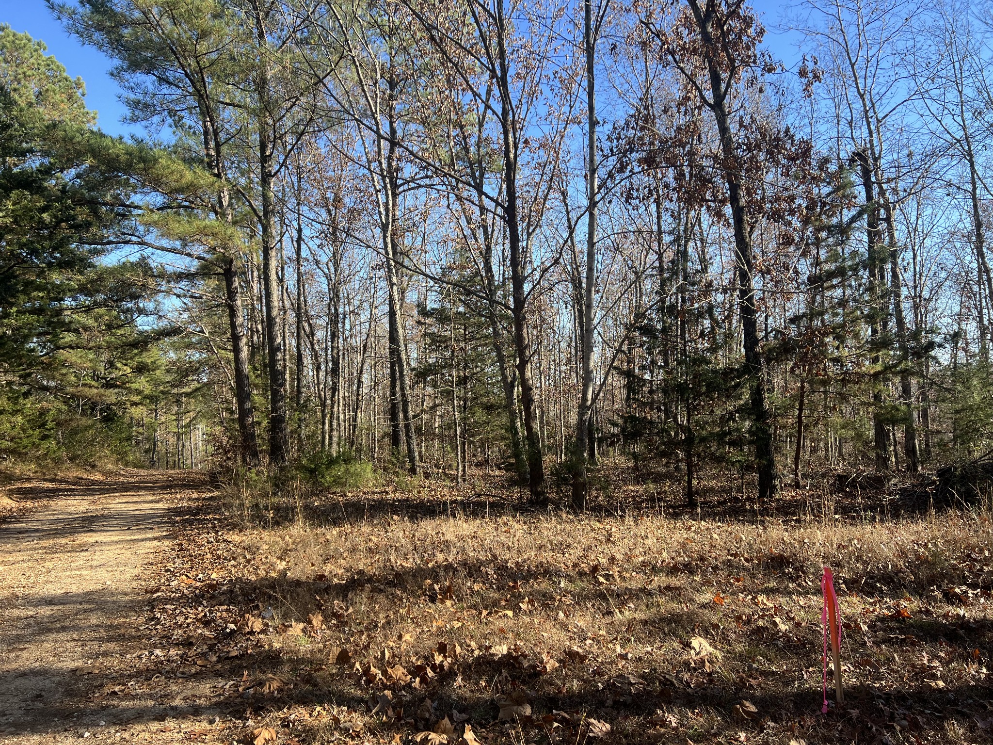 0 Sanders Road Lyles, TN 37098 - Photo 3 of 11 a view of outdoor space with trees