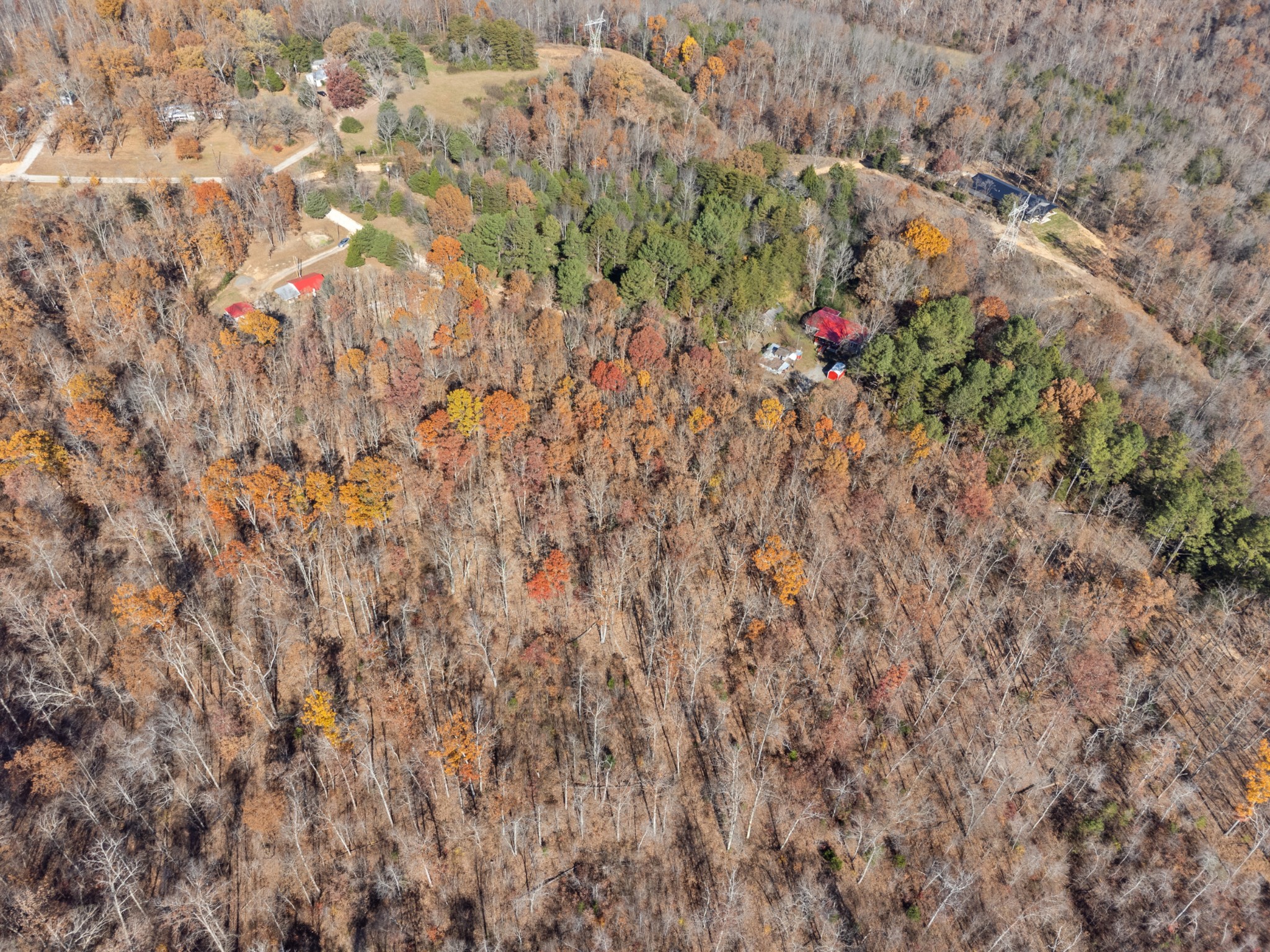 0 Sanders Road Lyles, TN 37098 - Photo 6 of 11 a close up of a plant