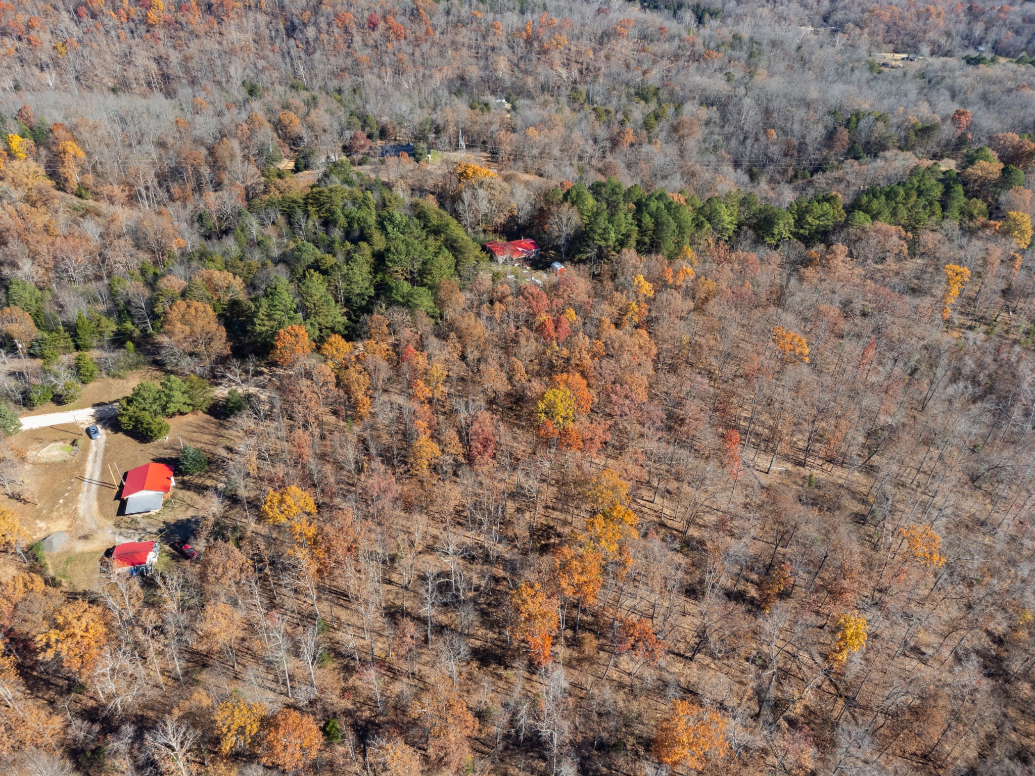 0 Sanders Road Lyles, TN 37098 - Photo 7 of 11 a backyard of a house with lots of green space