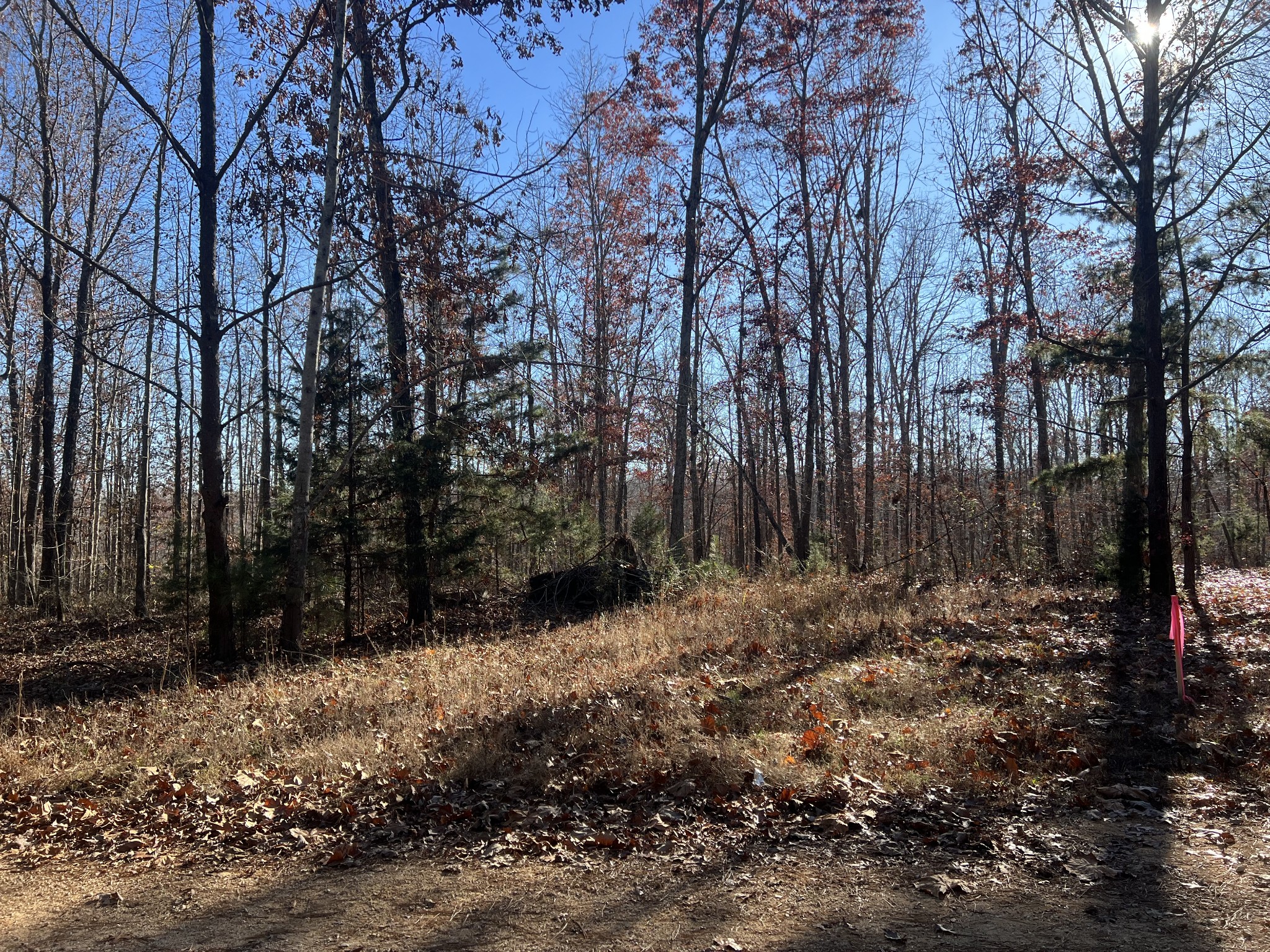 0 Sanders Road Lyles, TN 37098 - Photo 8 of 11 a backyard of a house with lots of green space
