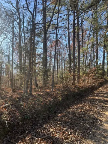 a black and white photo of a