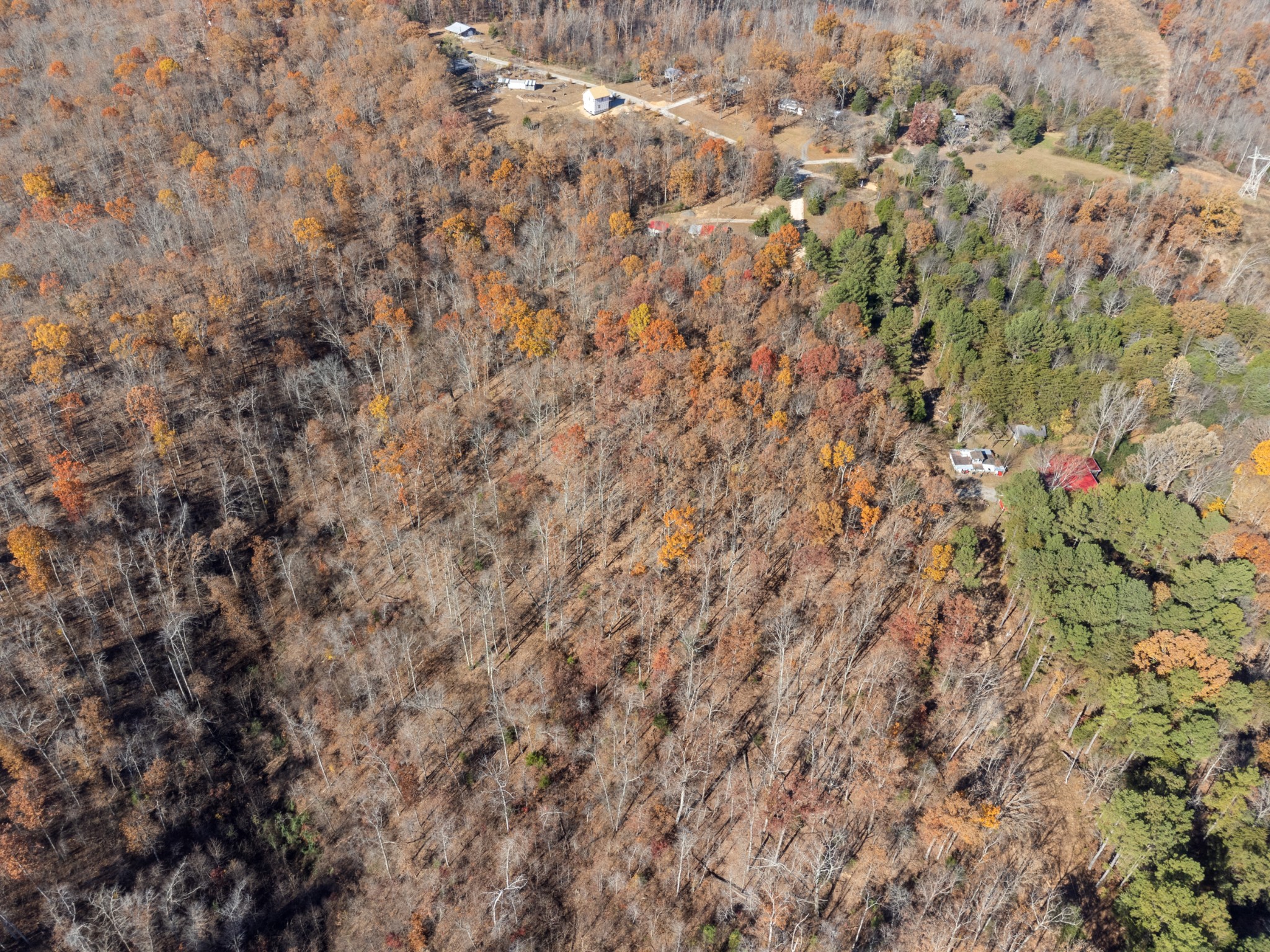 0 Sanders Road Lyles, TN 37098 - Photo 10 of 11