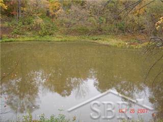 5714 Buell Road Vassar, MI 48768 - Photo 19 of 19 20042792-18.JPG