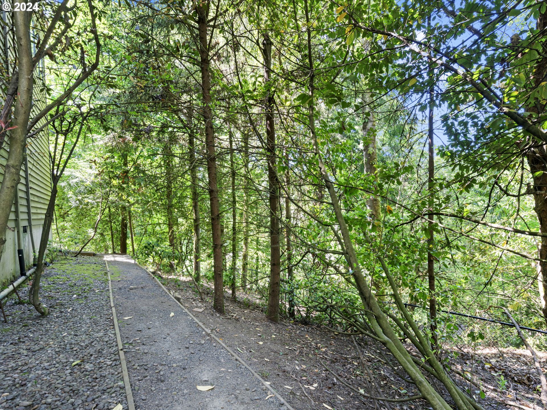 3209 Southwest Talbot Road Portland, OR 97201 - Photo 34 of 35 a big yard with lots of green space and trees