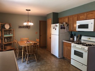 836 West Kennedy Road Braidwood, IL 60408 - Photo 5 of 19