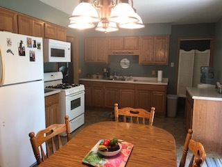 836 West Kennedy Road Braidwood, IL 60408 - Photo 7 of 19