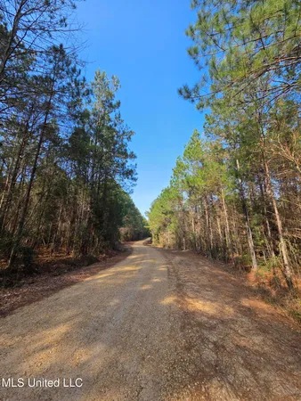 $22,900 | 0 Wildwood Trail Southeast, Meadville, MS 39653