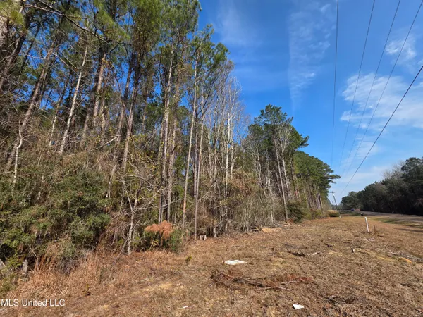 $22,900 | 0 Wildwood Trail Southeast, Meadville, MS 39653