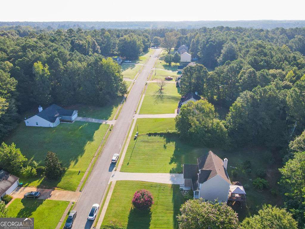 121 Jaley Parkway Locust Grove, GA 30248 - Photo 4 of 50