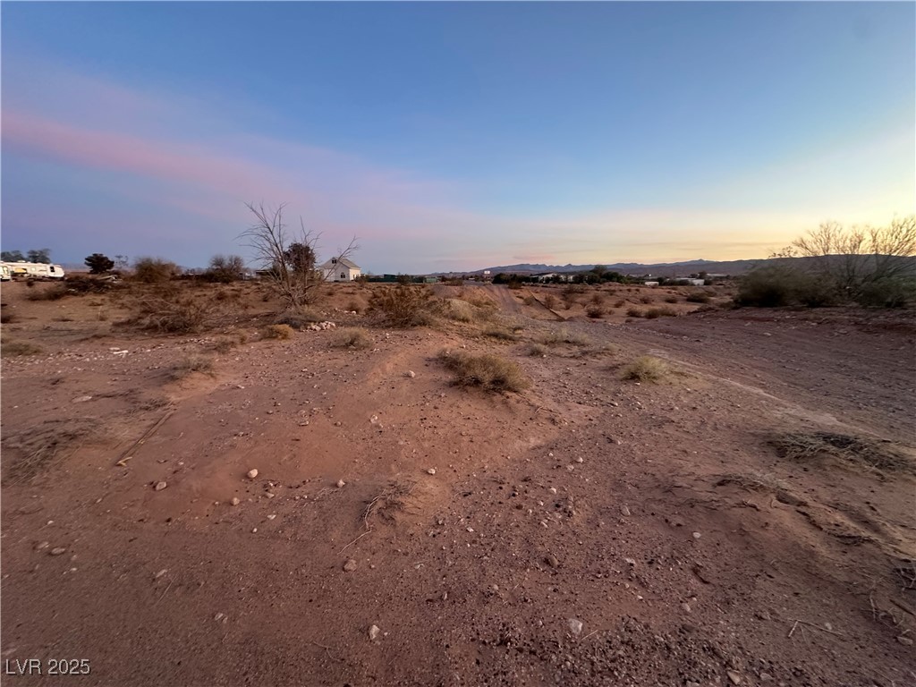 380 Ron Avenue Logandale, NV 89021 - Photo 2 of 5 View of landscape