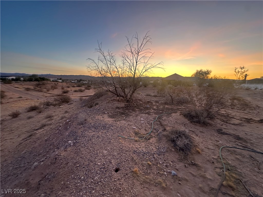 380 Ron Avenue Logandale, NV 89021 - Photo 3 of 5 View of landscape