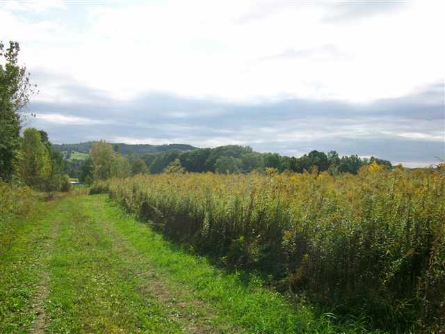 0 Kenyon Road Greenwich, NY 12834 - Photo 1 of 3 Photo 1