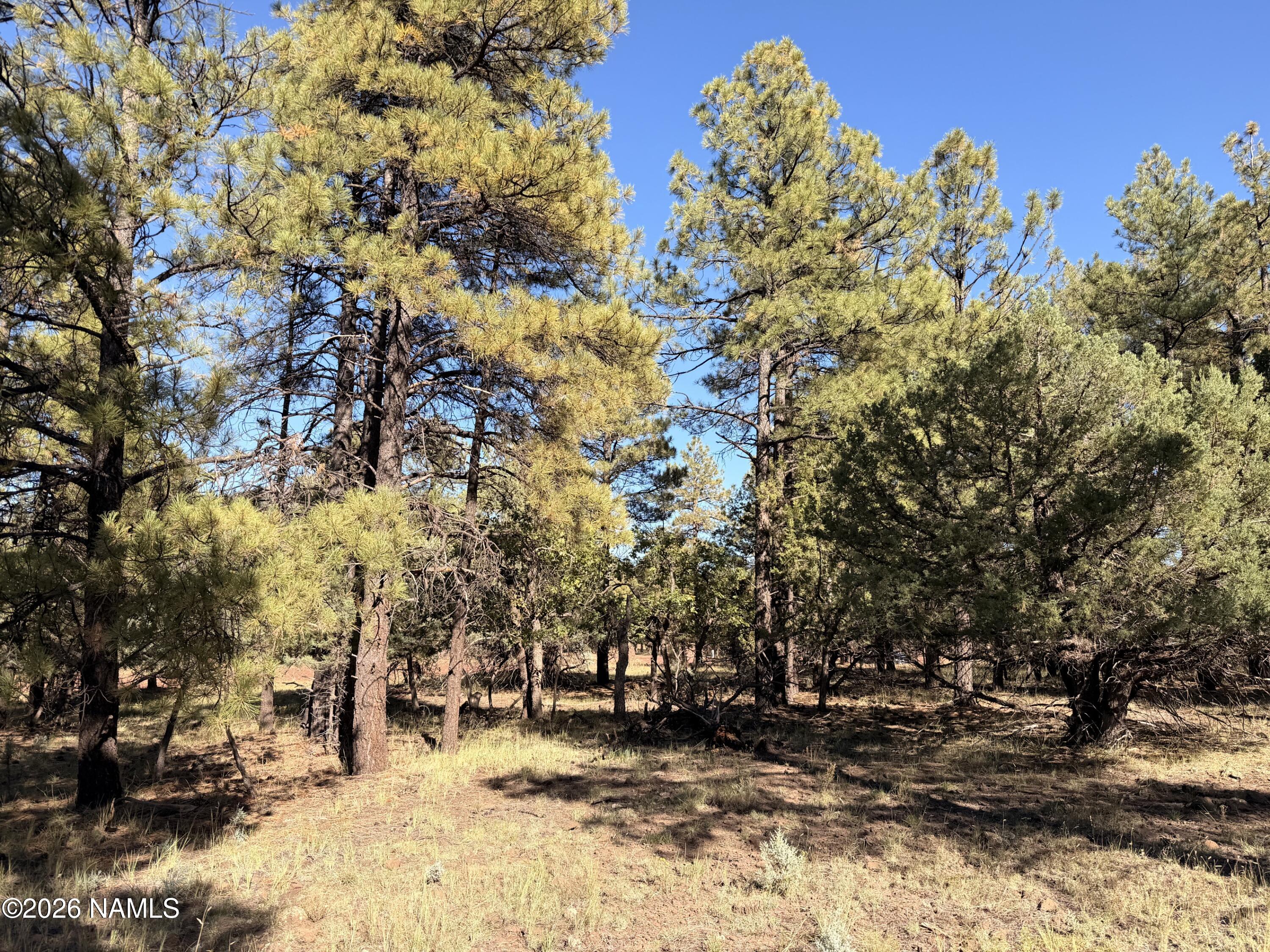 778 North Double A Ranch Road Williams, AZ 86046 - Photo 12 of 13 IMG_2498