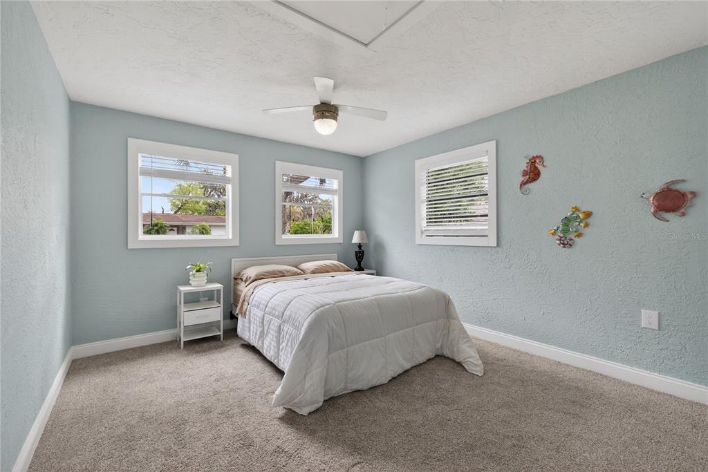5851 Rio Drive New Port Richey, FL 34652 - Photo 33 of 50 a bedroom with a bed and a window