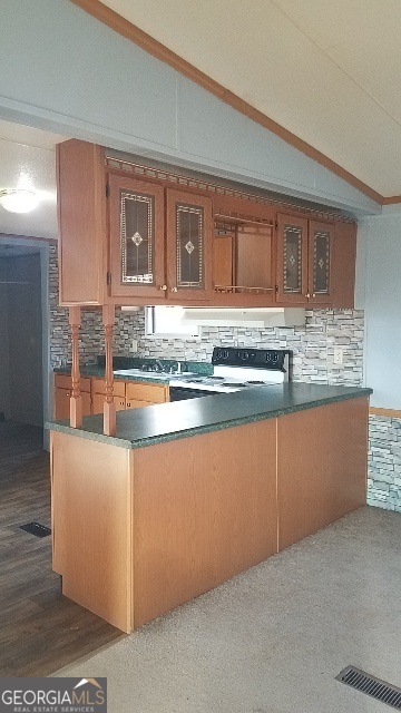 2331 Kesler Road Carnesville, GA 30521 - Photo 31 of 50 a kitchen with granite countertop a stove and cabinets