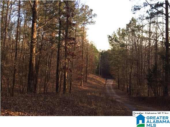 8681 Central Road Warrior, AL 35180 - Photo 26 of 31