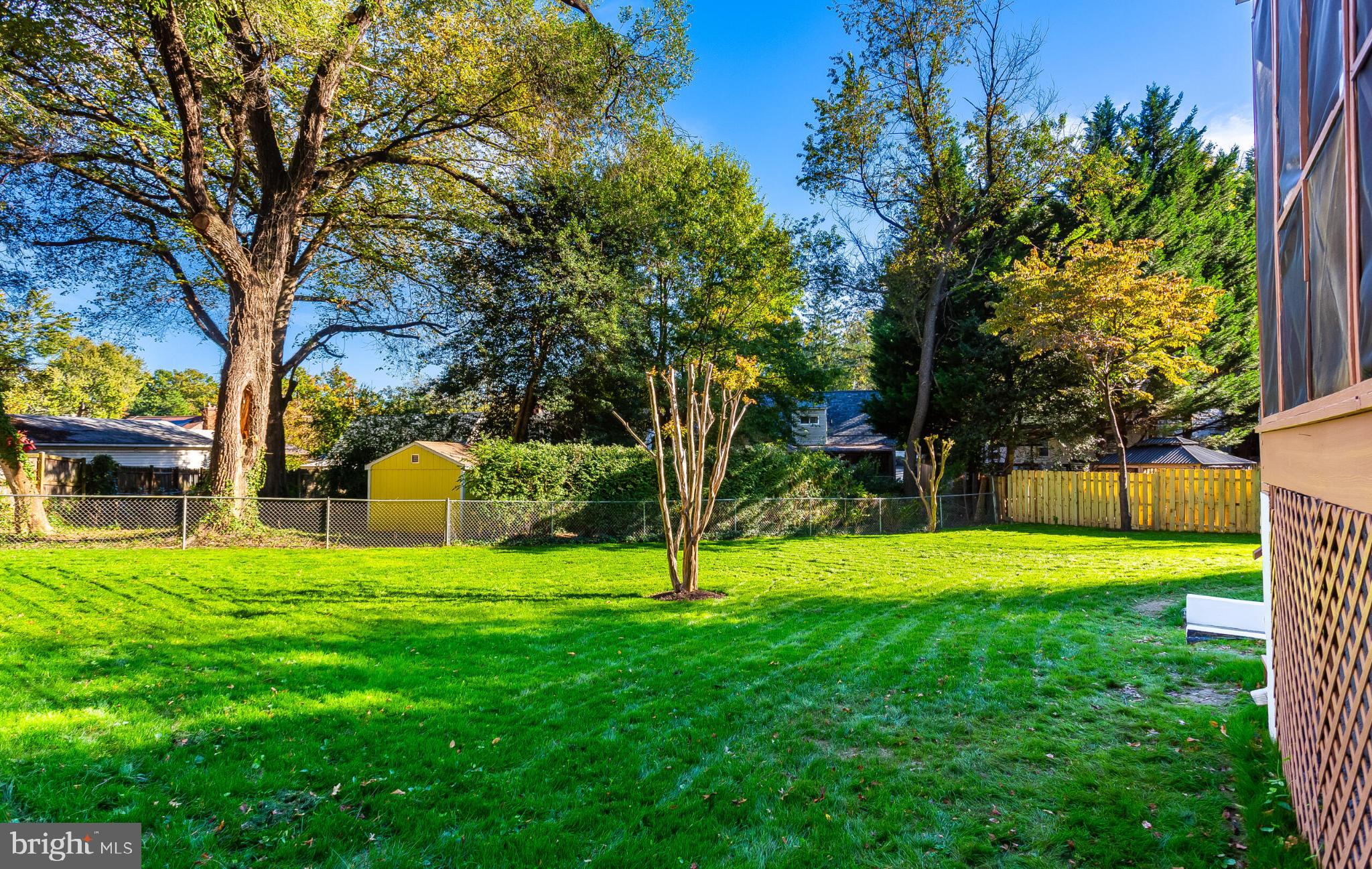 304 Franklin Place Silver Spring, MD 20901 - Photo 5 of 27 Lush green yard with vibrant trees and sunshine.