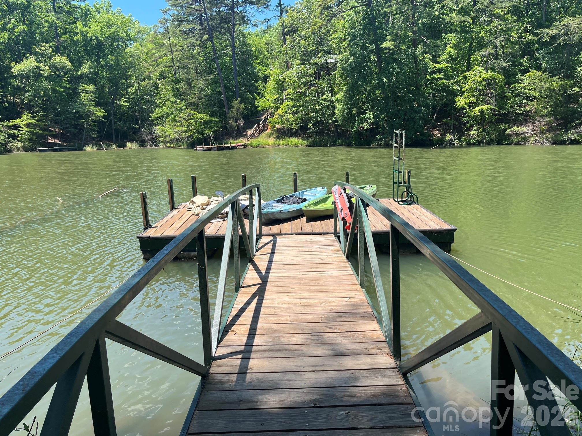 617 South Cove Road Mill Spring, NC 28756 - Photo 42 of 48