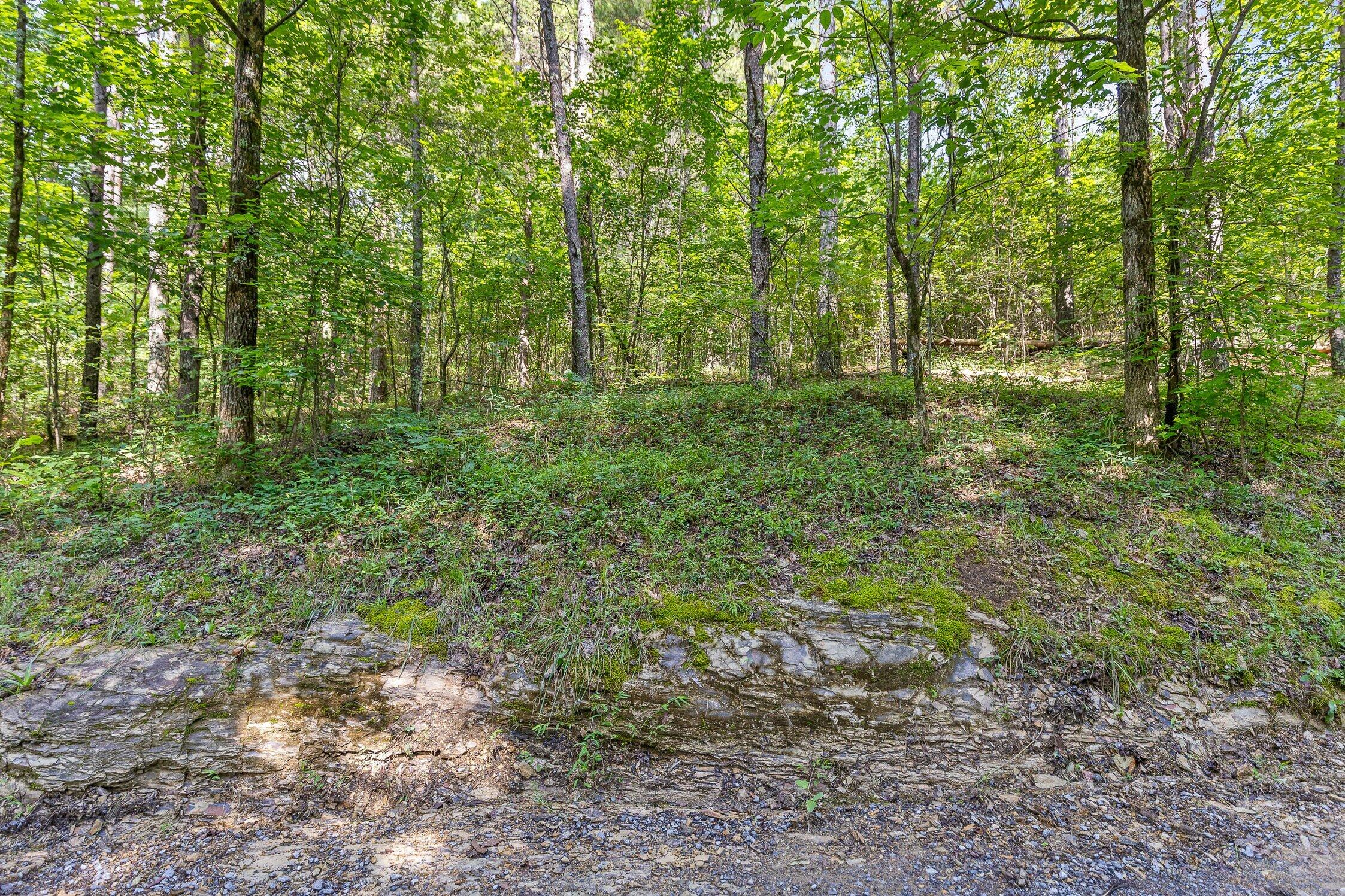 3 Conniston Road Chatsworth, GA 30705 - Photo 3 of 9 Track 1-2