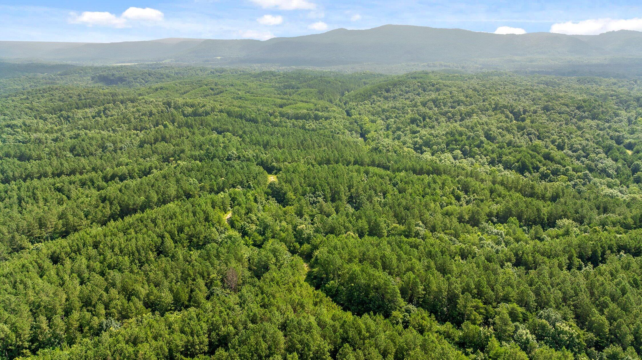 3 Conniston Road Chatsworth, GA 30705 - Photo 4 of 9 Track 1-9