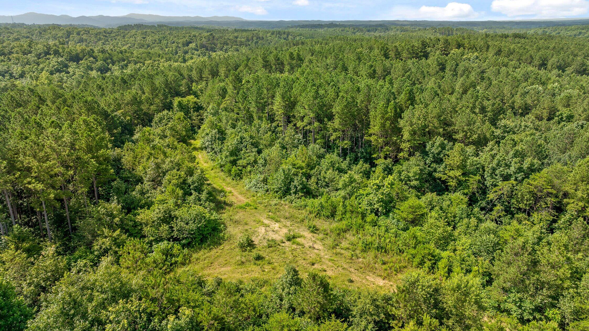 3 Conniston Road Chatsworth, GA 30705 - Photo 5 of 9 Track 1-17