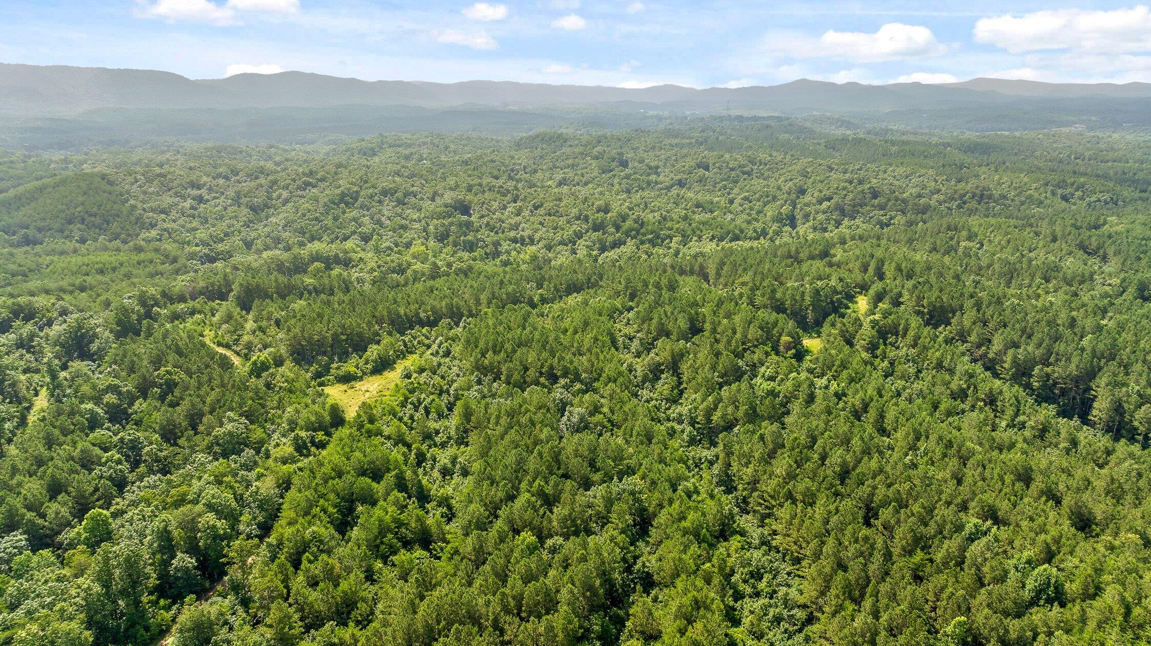 3 Conniston Road Chatsworth, GA 30705 - Photo 6 of 9 Track 1-13