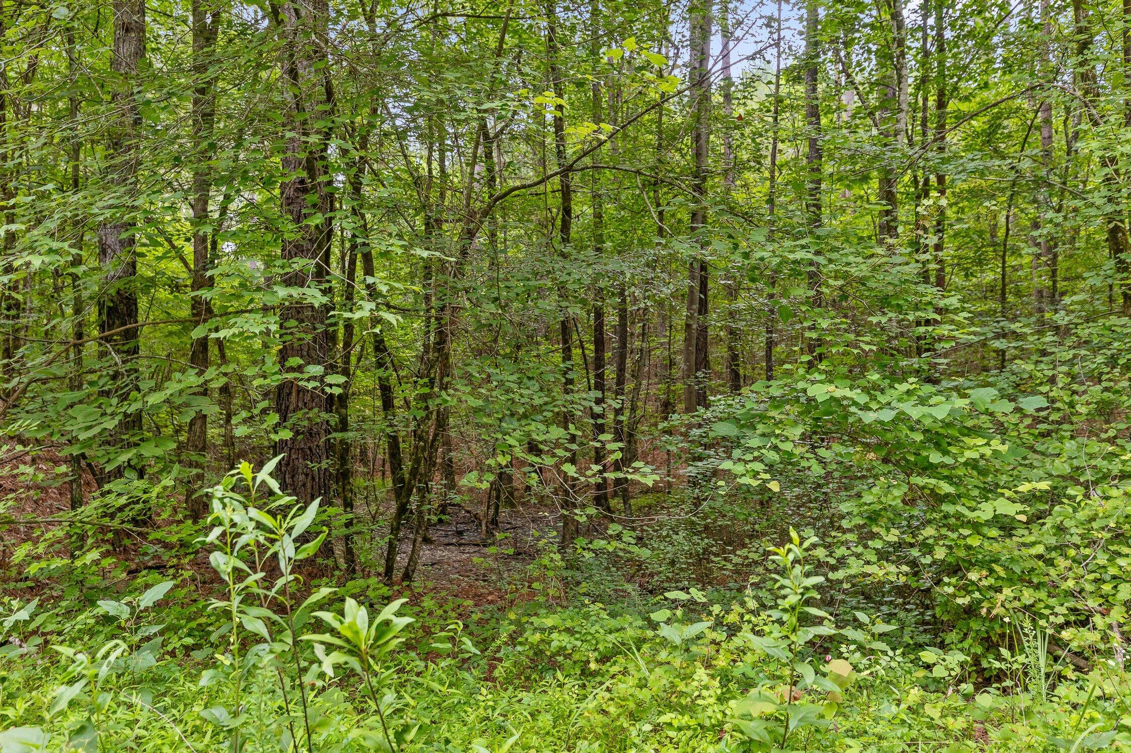 3 Conniston Road Chatsworth, GA 30705 - Photo 7 of 9 Track 3-2