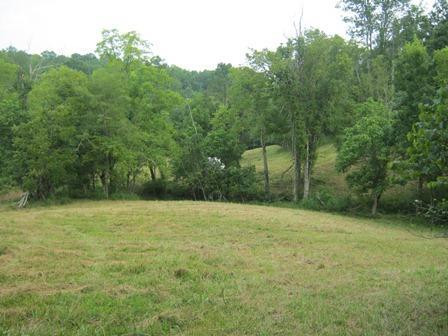 1354 Birdie Road Lawrenceburg, KY 40342 - Photo 39 of 55 Photo 39