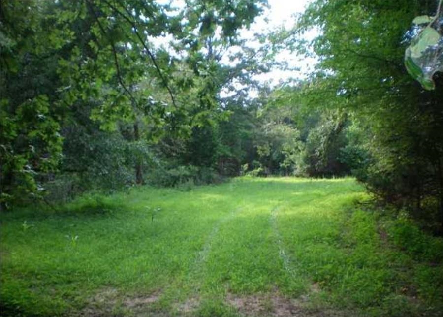 70 Wildcat Bottom Road Red Banks, MS 38661 - Photo 3 of 8 Gallery Image 3