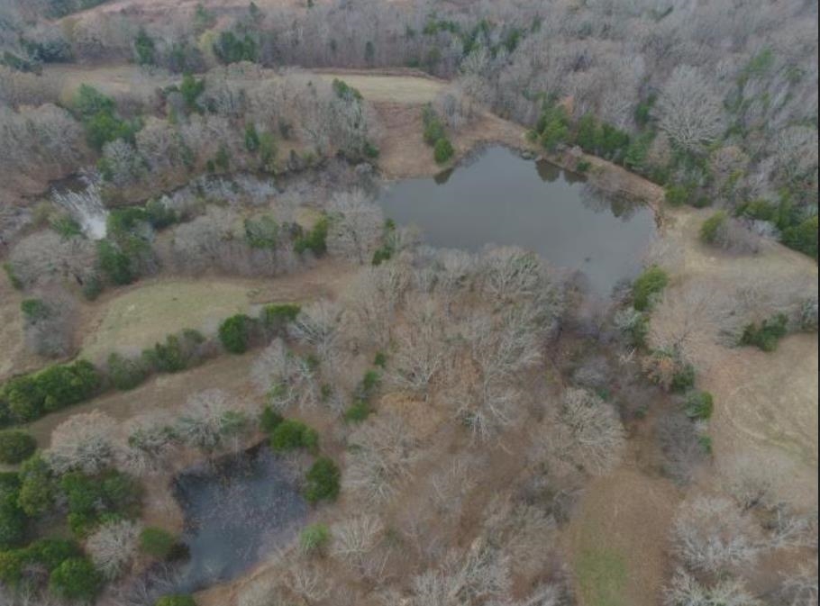 70 Wildcat Bottom Road Red Banks, MS 38661 - Photo 5 of 8 Gallery Image 5