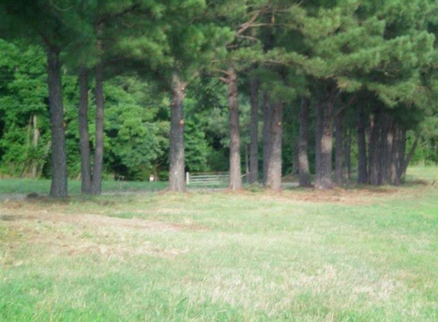70 Wildcat Bottom Road Red Banks, MS 38661 - Photo 7 of 8 Gallery Image 7