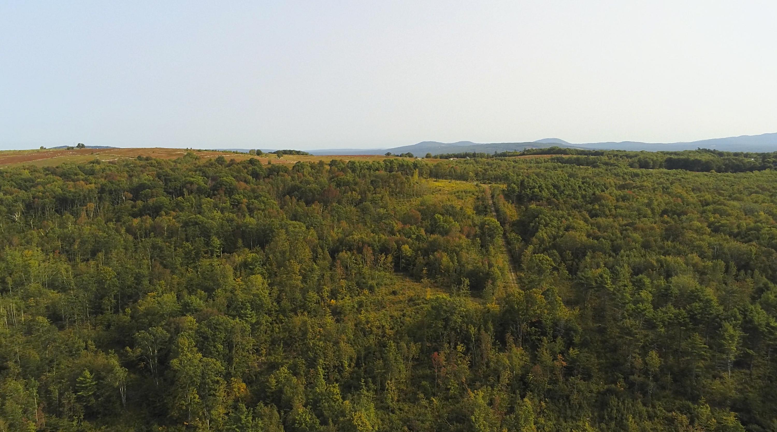 0 Clary Hill Road Union, ME 04862 - Photo 4 of 17 07-Emmett Hart Rd-JAC