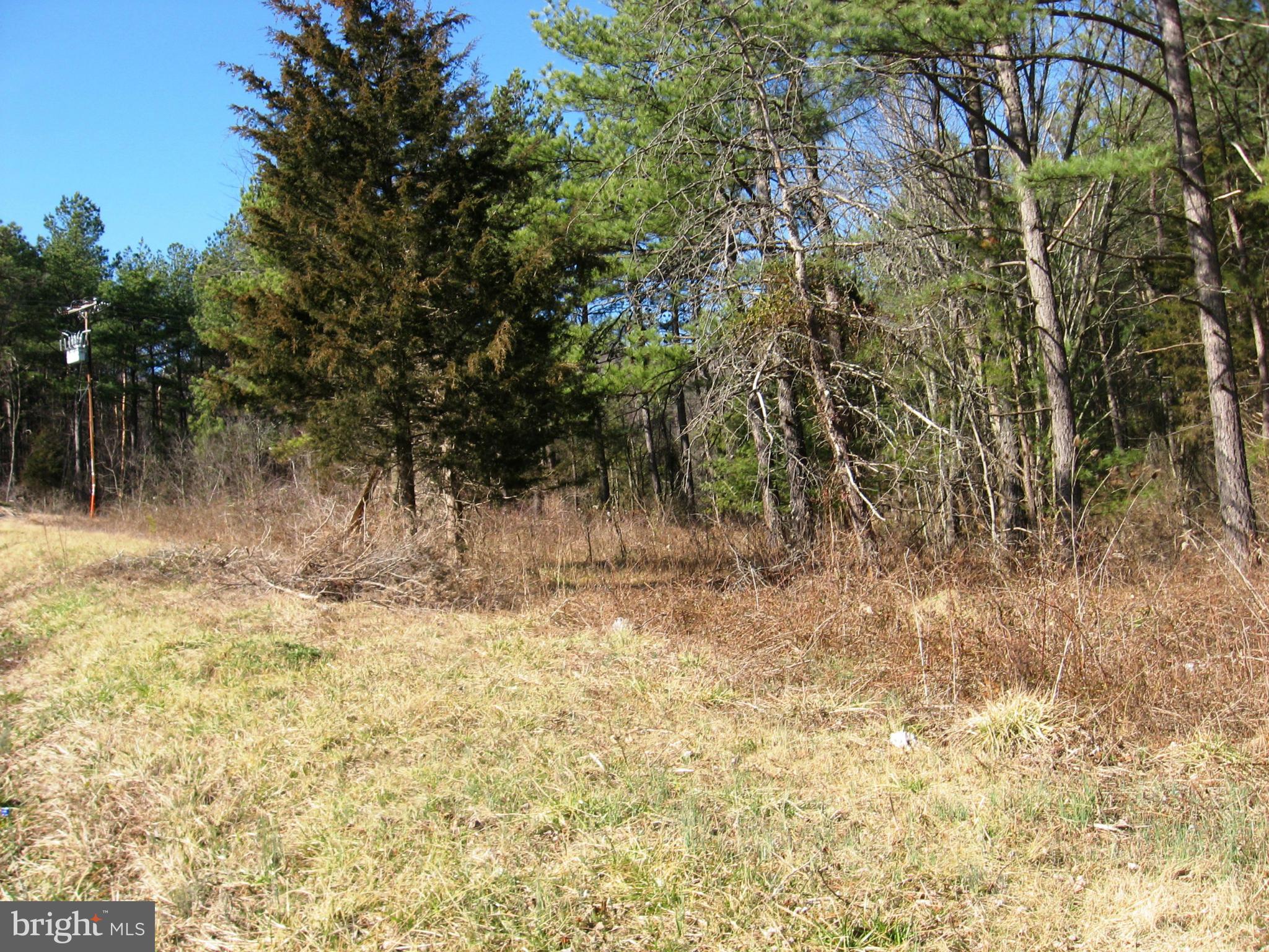 0 Orkney Grade Rd Mount Mount Jackson, VA 22842 - Photo 1 of 4 Exterior (General)