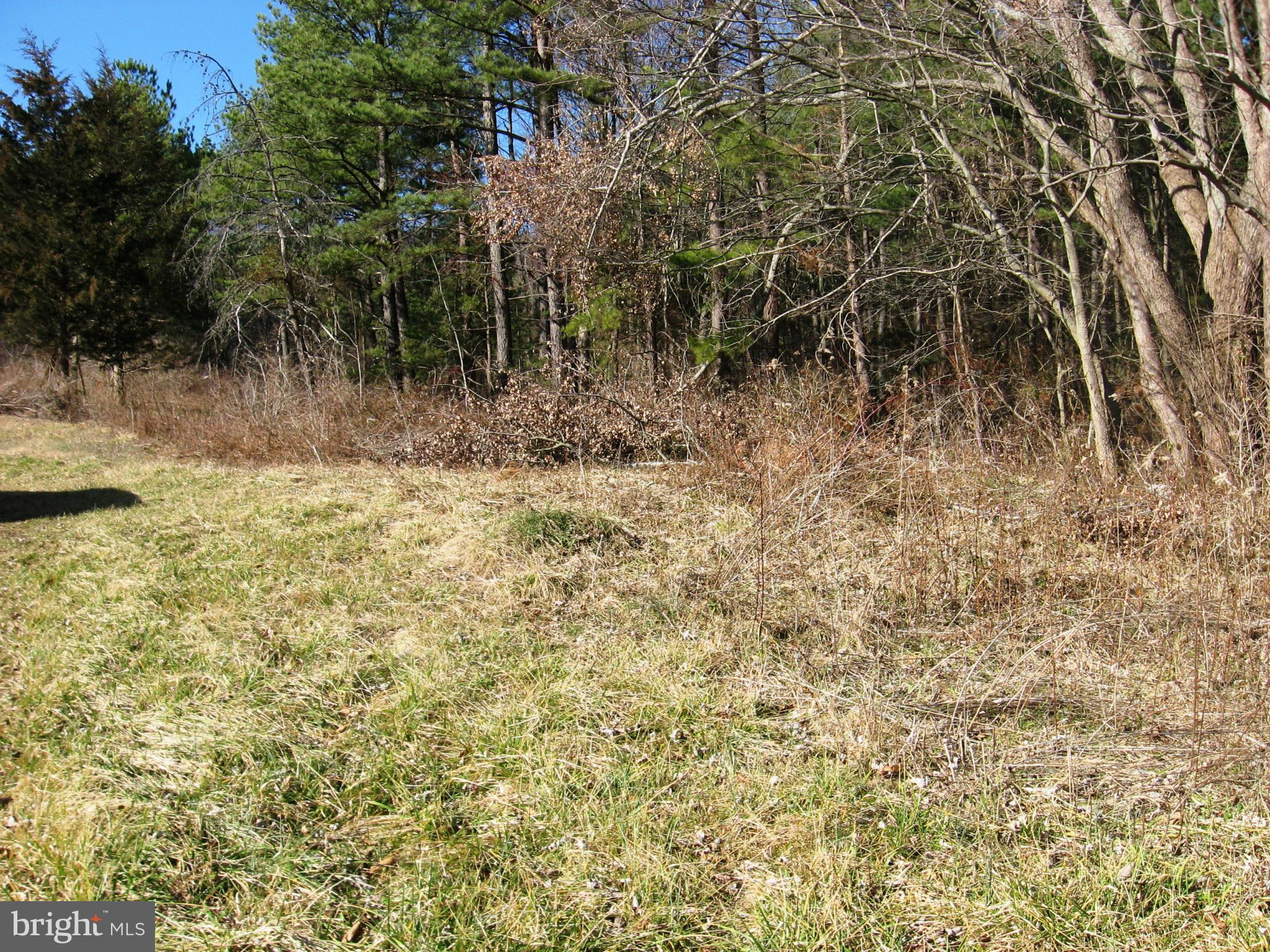 0 Orkney Grade Rd Mount Mount Jackson, VA 22842 - Photo 4 of 4 Exterior (General)