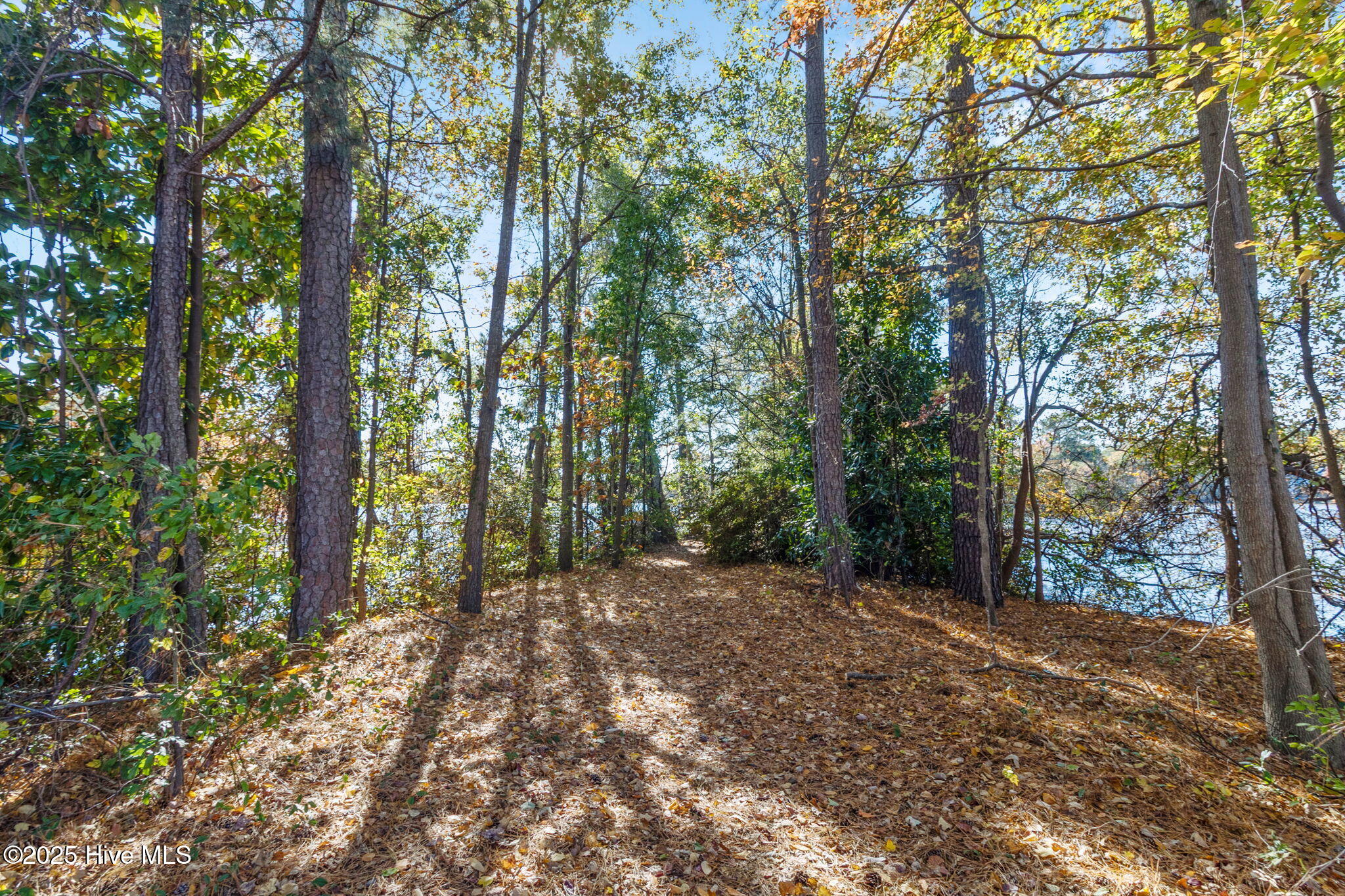 484 Lands End Road Fayetteville, NC 28314 - Photo 41 of 45 38-web-or-mls-2B5A3643