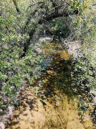 $699,000 | 345 Wilson Lane, Windsor, CA 95492