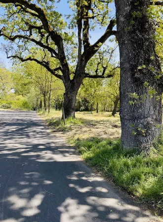 $699,000 | 345 Wilson Lane, Windsor, CA 95492