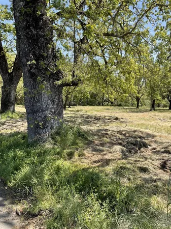 $699,000 | 345 Wilson Lane, Windsor, CA 95492