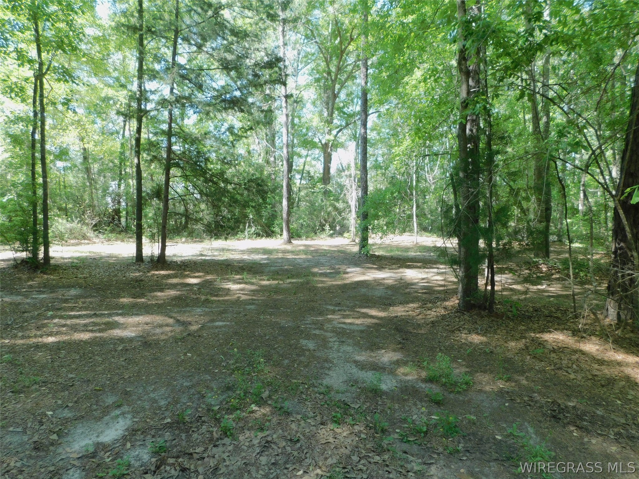 28315 Straughn School Road Andalusia, AL 36421 - Photo 23 of 30 Gallery Image 23