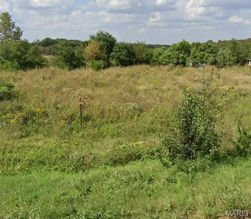 $350,000 | 10865 Business 21, Hillsboro, MO 63050