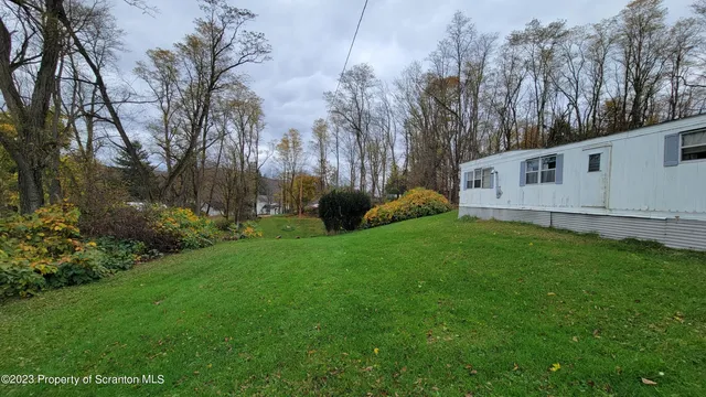 a view of backyard with barbeque grill and a big yard with large trees