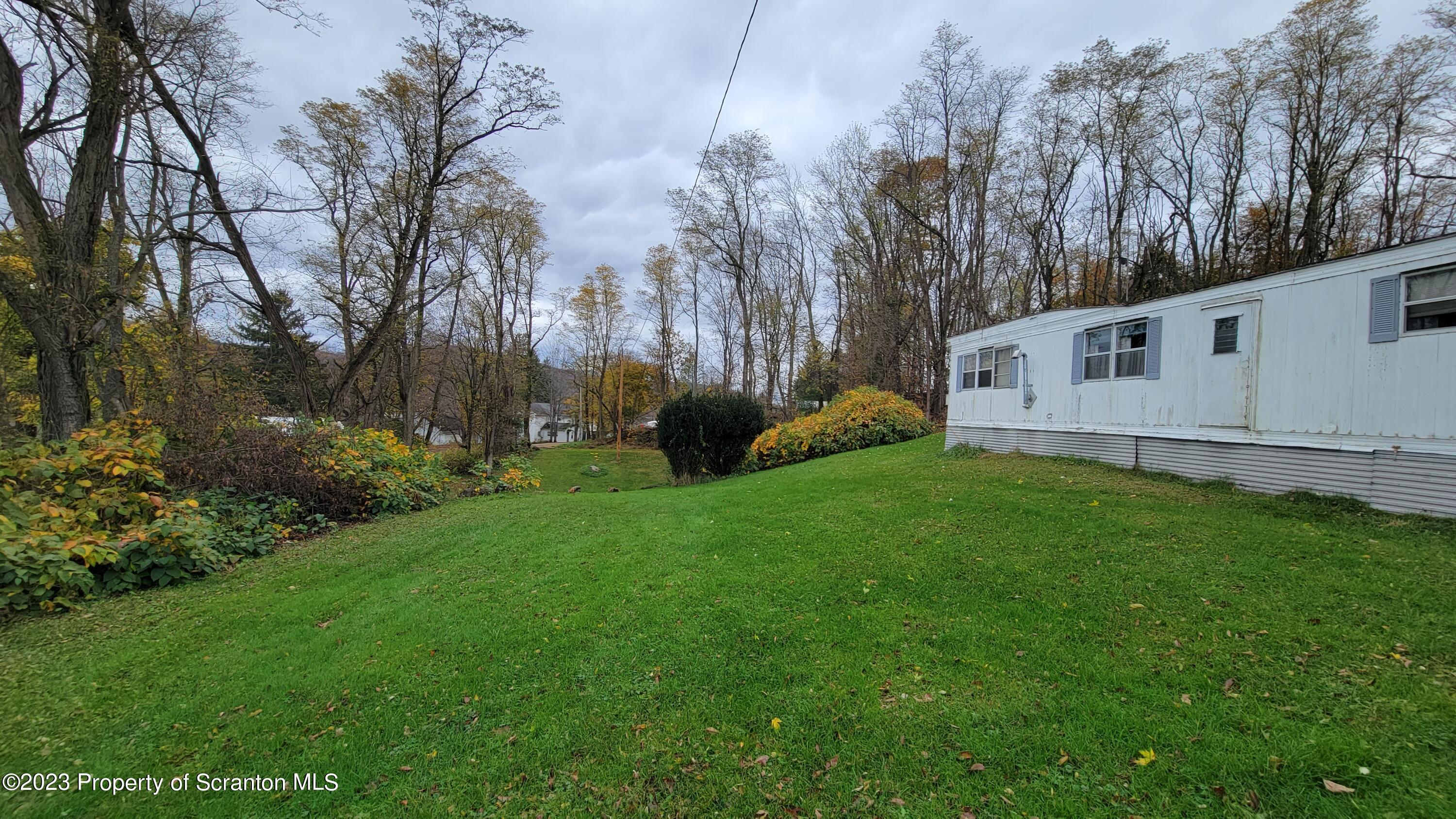 64 Franklin Street Great Bend, PA 18821 - Photo 4 of 17 a view of backyard with barbeque grill and a big yard with large trees
