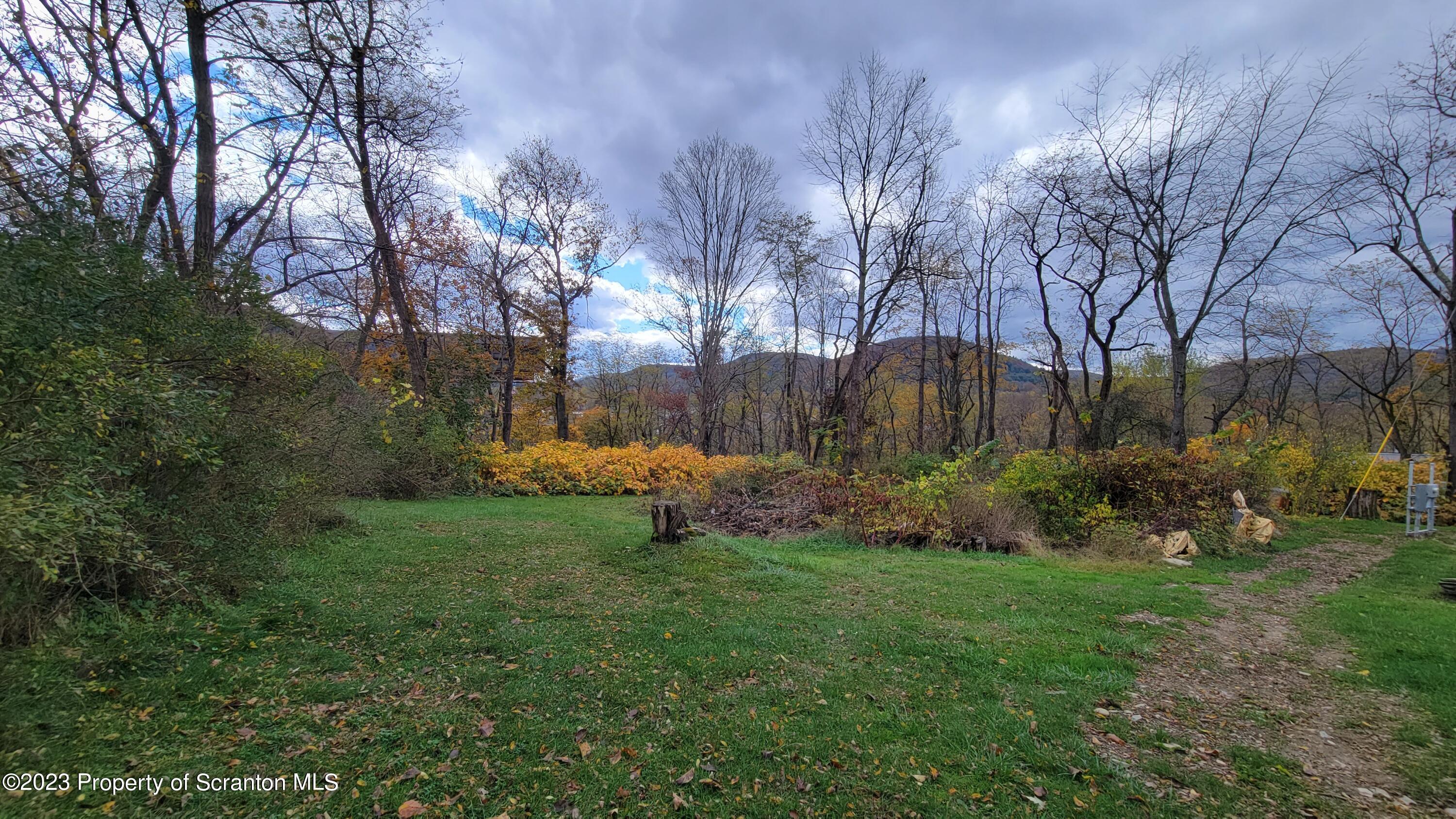 64 Franklin Street Great Bend, PA 18821 - Photo 8 of 17 a view of backyard with green space