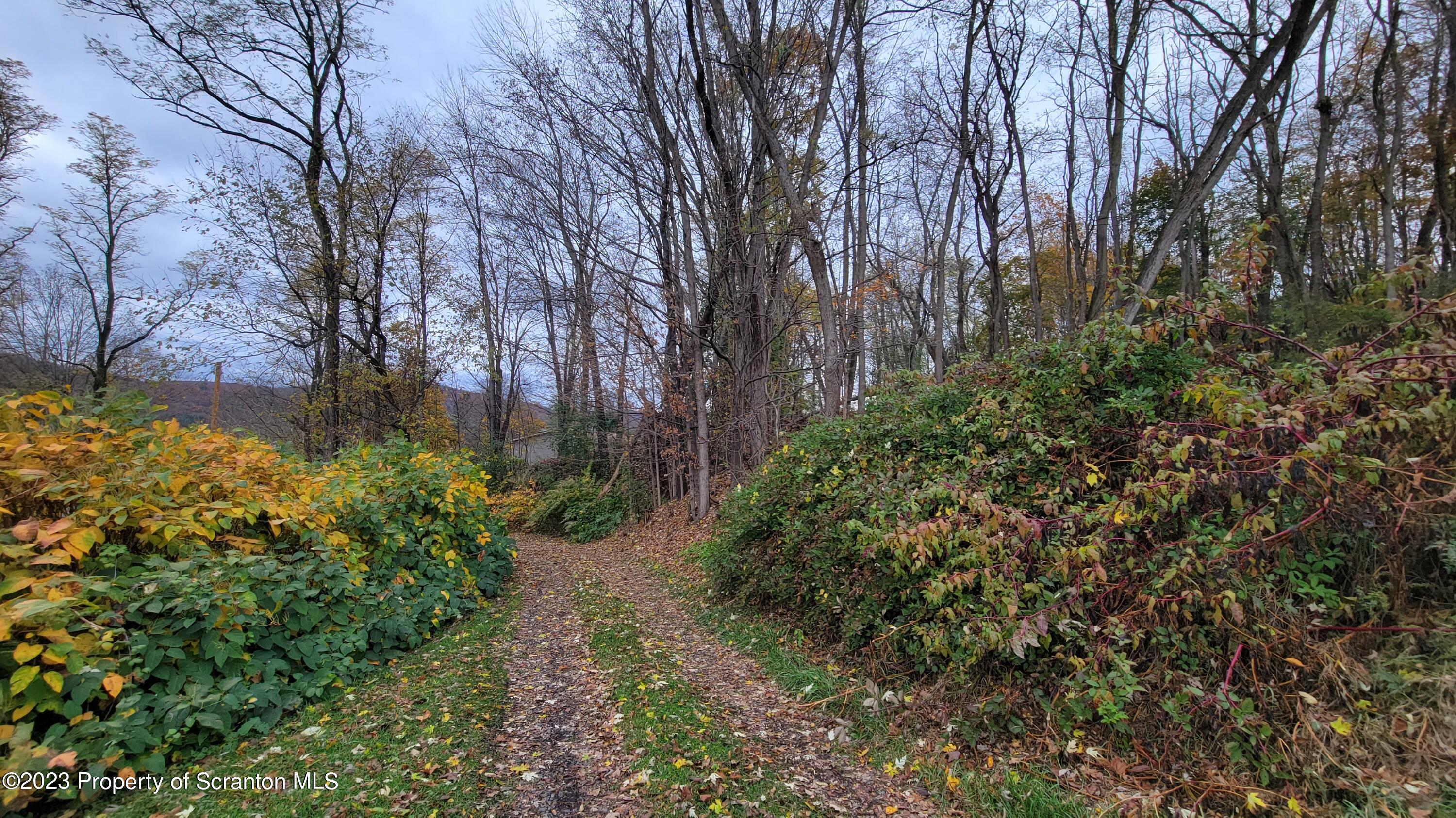 64 Franklin Street Great Bend, PA 18821 - Photo 9 of 17 a view of a garden with plants and large trees