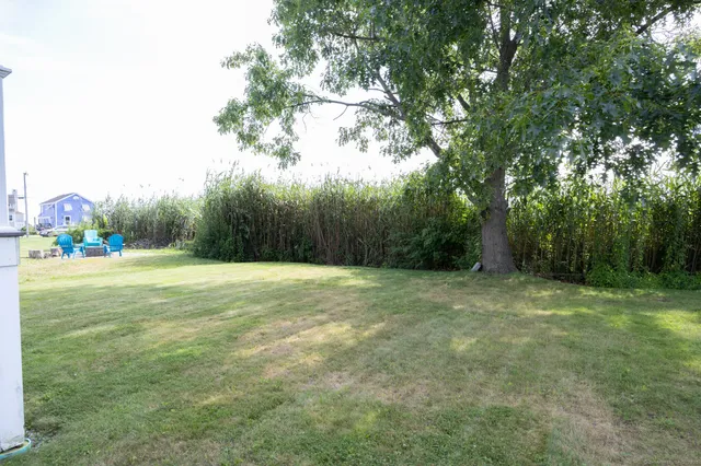 a view of outdoor space with trees all around