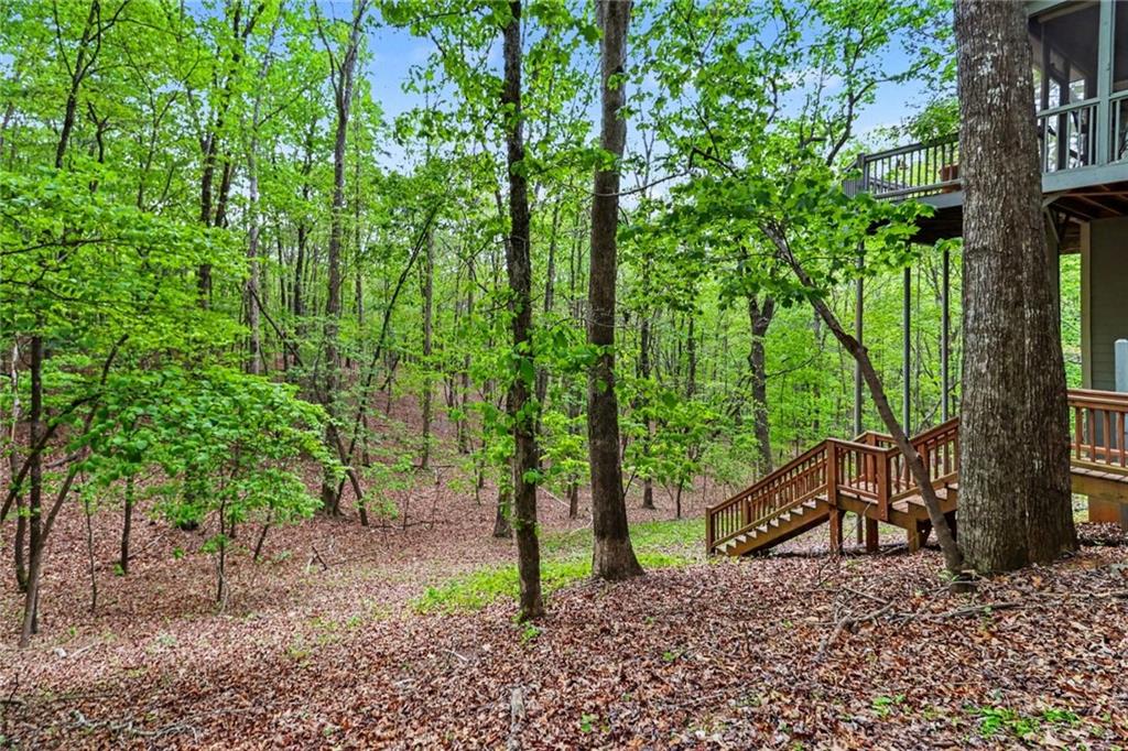 53 Pinto Place Jasper, GA 30143 - Photo 51 of 63